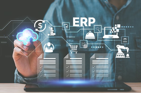NetSuite-ERP-business-img